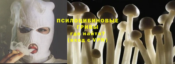 стафф Алзамай