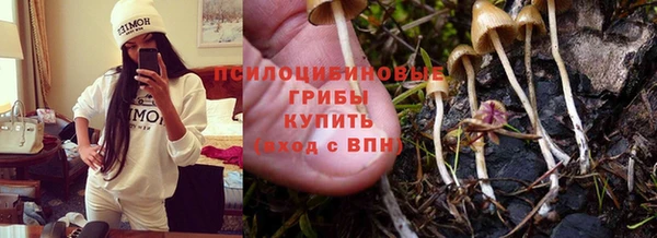 прущий лед Алексин