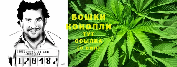 шишки Алексеевка