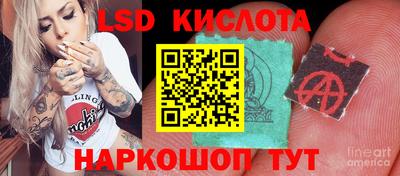 стафф Гусев