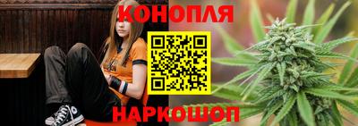 стафф Гусев