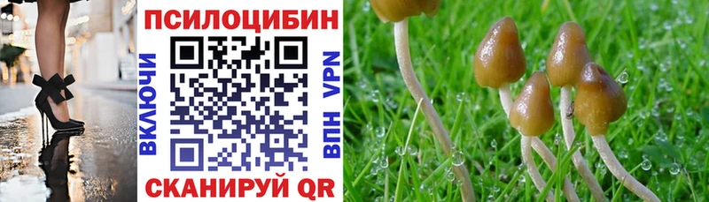Псилоцибиновые грибы Psilocybine cubensis Урай